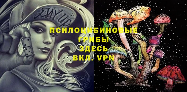 ешки Мегион