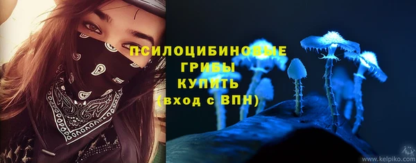 ешки Мегион